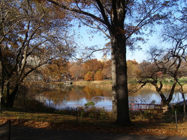 Autumn colours in the Park