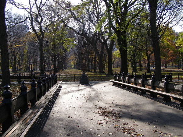Central Park paths