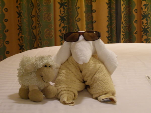 Sheepy hangs with the towel animal in our state room
