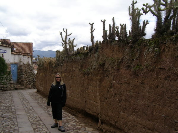 Kristi in the streets of Cuzco, note the cactus fence!