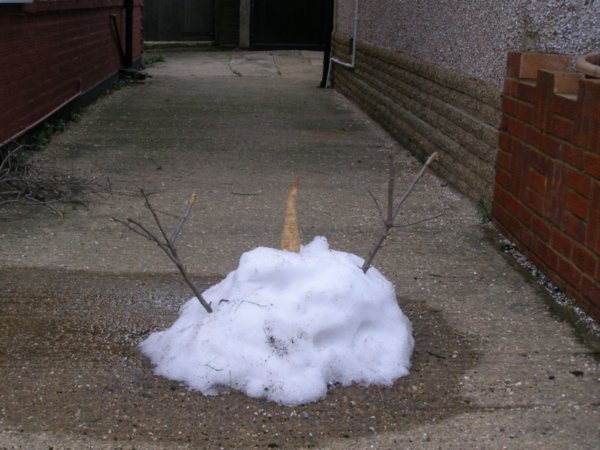 The slow death of a snow man