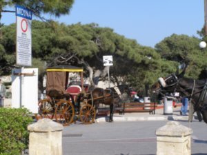 Horse and carts at Mdina