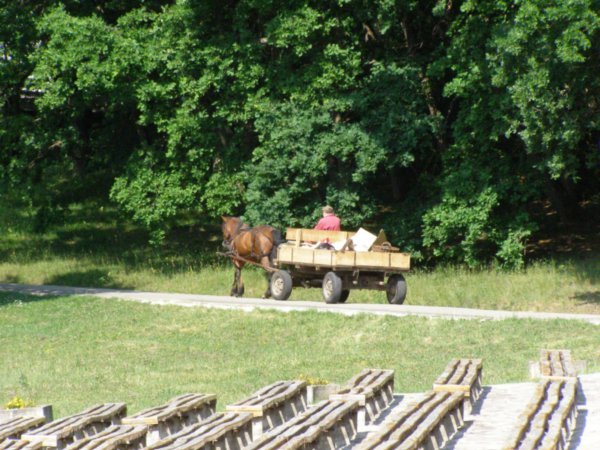 Second most common form of transport in Romania... seriously.