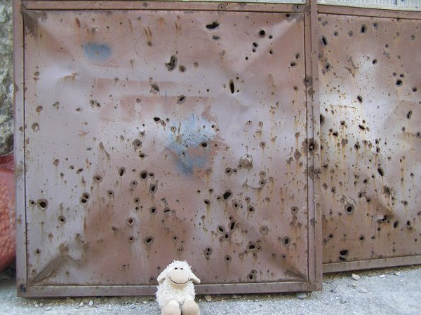 Sheepy was not impressed with the bullet riddled doors