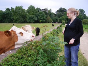 Emilie loves cows too... Jun 09