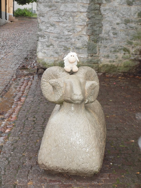 Sheepy found a friend in Visby!