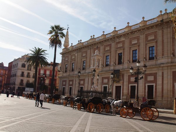 Horse and carriage rides in the city