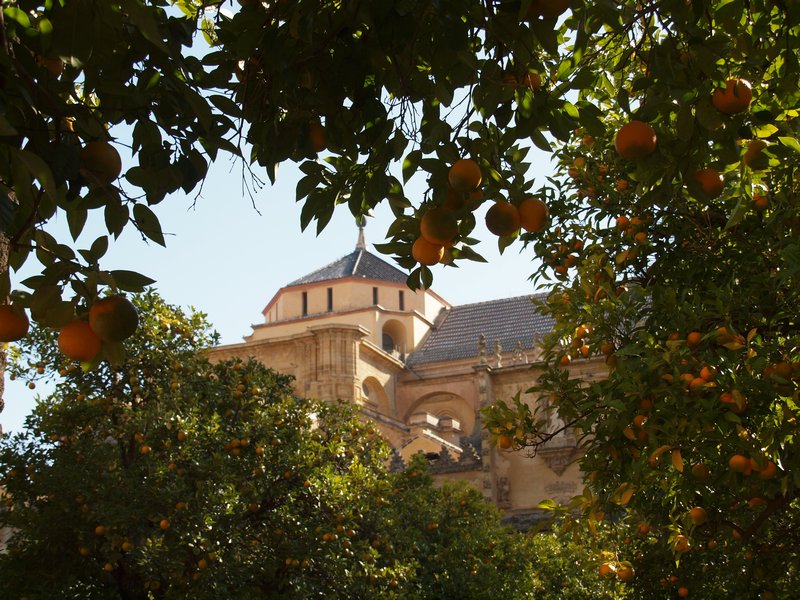The Cathedral through the oranges