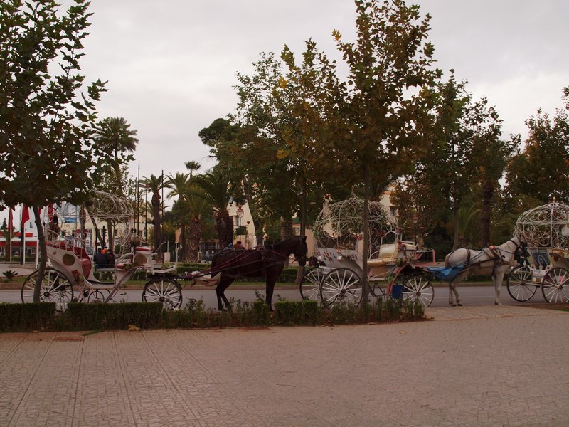 Cinderella carriages in Fez