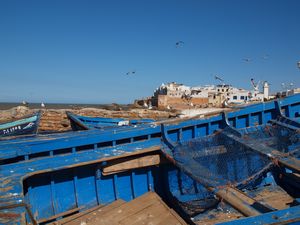 Hanging out at the docks in Essouira