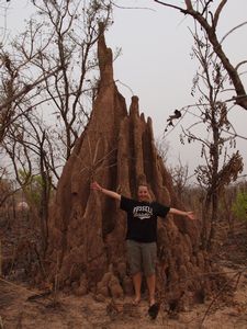 Massive termite hill near one of our bushcamps