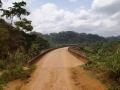 Dirt track meets random monolithic bridge in the jungle
