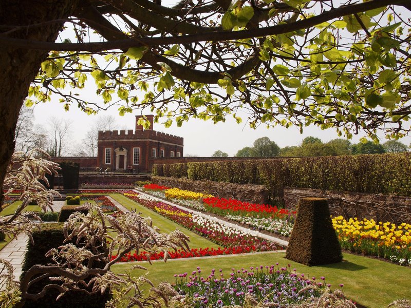 Stunning Hampton Court gardens