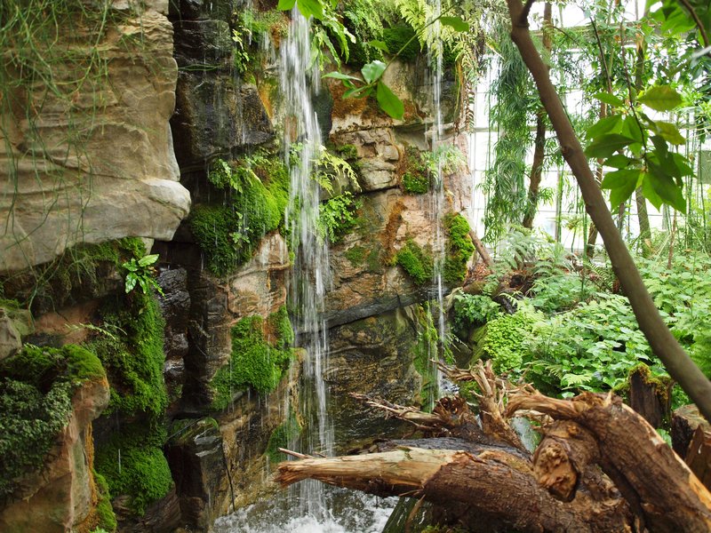 Greenhouse waterfall, Kew Gardens