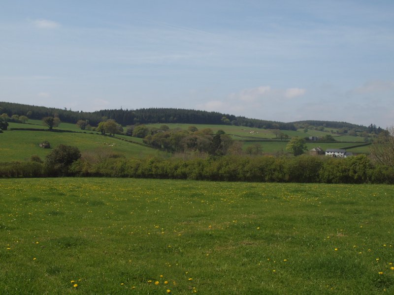 Lovely countryside in Devon