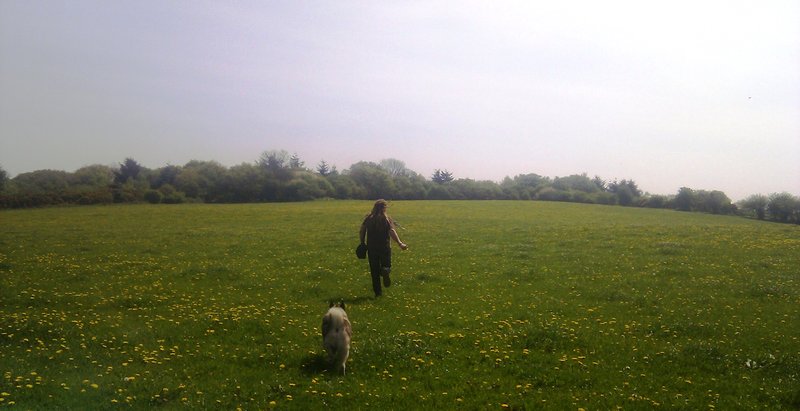 Martin and Oslo frolicking in the meadows