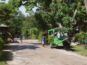 The quaint streets on La Digue with typical transport