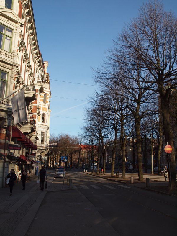Tree lined streets of Gothenburg, can imagine they look stunning in summer