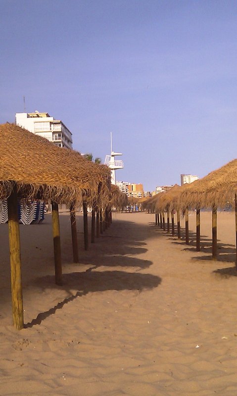 Thatched beach umbrella's
