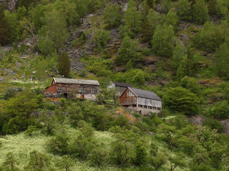 Geiranger Fjord farms high up the mountain sides