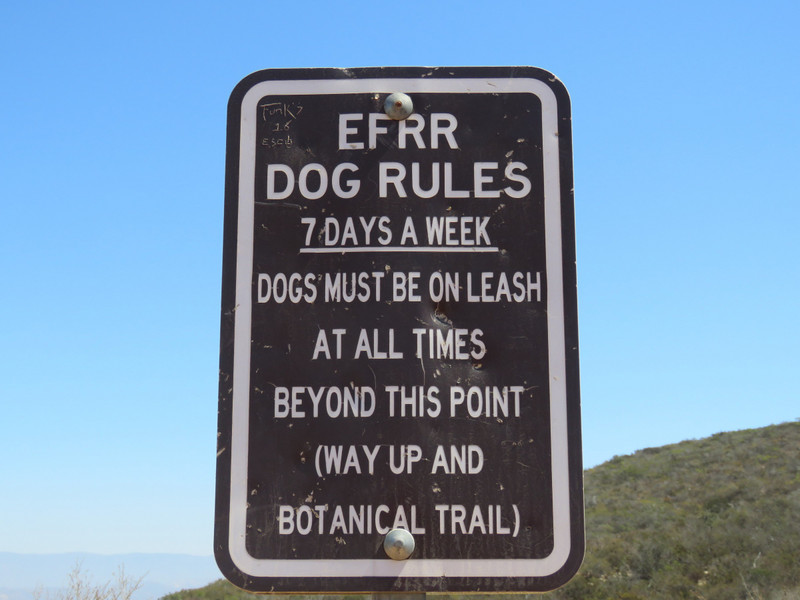 Rules for dogs