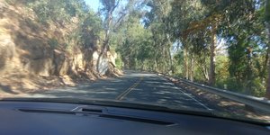 The road to Elfin Forest