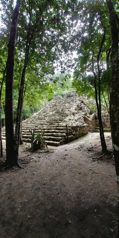 Mayan ruins in the jungle