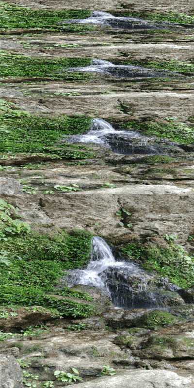 A gif of the spring