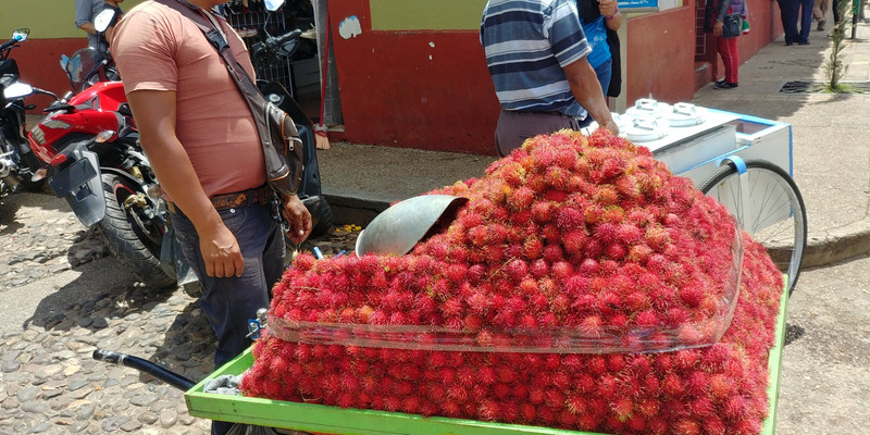 Rambutan at the market