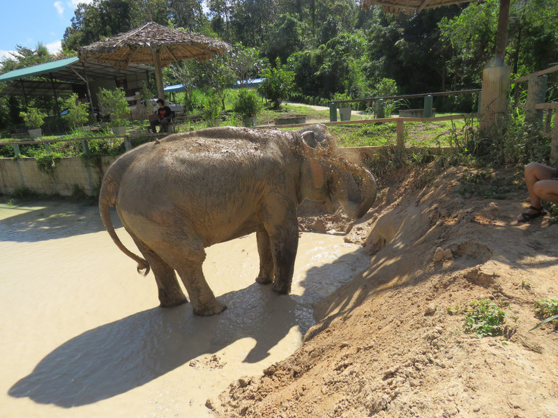 A quick mud splash