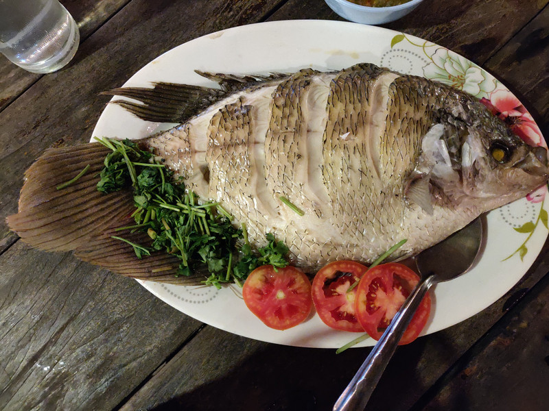 My steamed fish