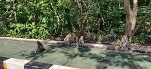 Monkeys at Khao Ngu Stone Park