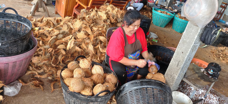 Shelling coconuts