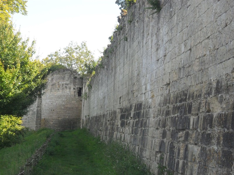 Coucy le Chateau Aufrique 044 (1)