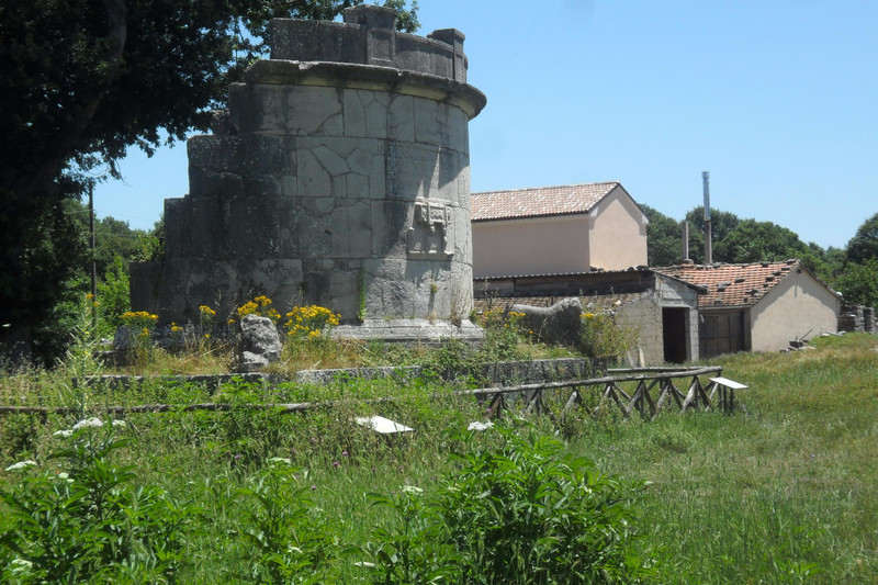 Saepinum ruins near Sepino Italy  (55)