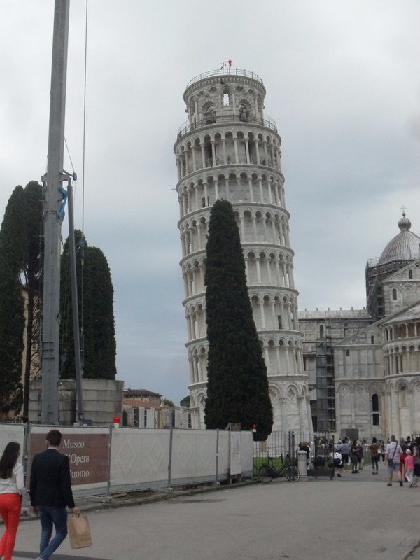 1 Leaning Tree of Pisa (4)
