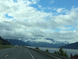 Drive down to Homer