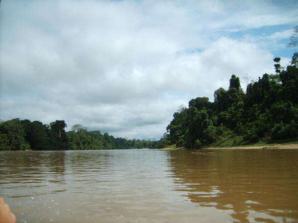 View from the boat