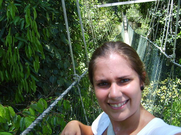 Canopy walkway - 40 m over the ground!