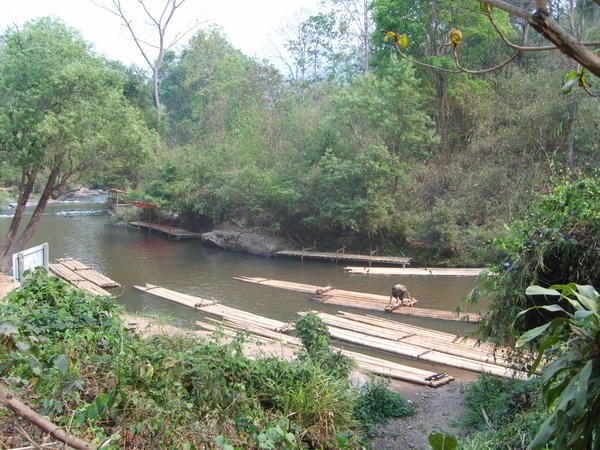 Bamboo rafting!