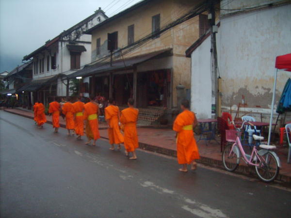 The monks in the morning