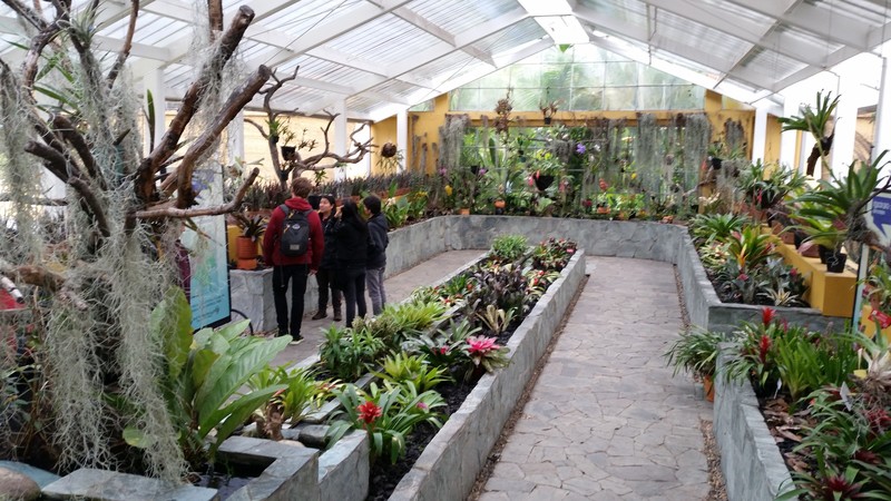 Green House for medicinal plants - Bogota Botanical Gardens