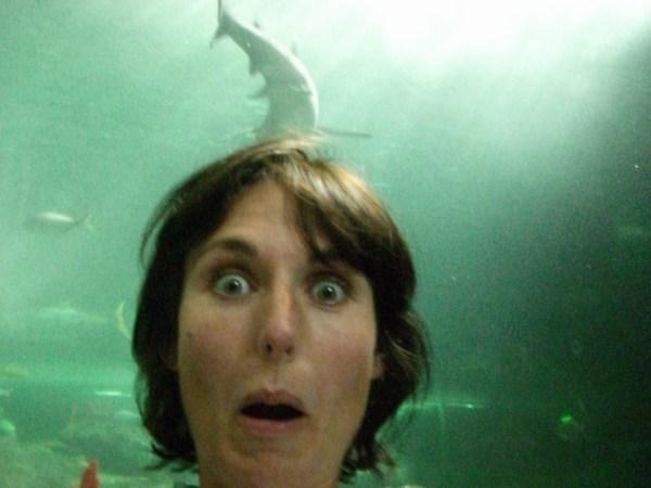 Rachy panics as a shark enters her head