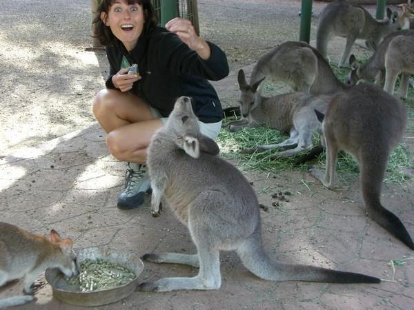 Rachy taunts a kangeroo