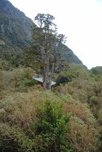 Our hut in the bush
