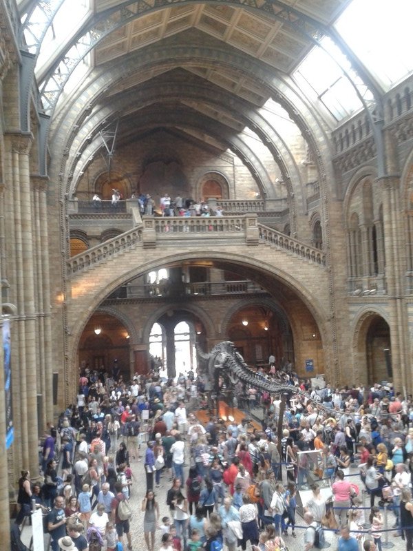 A Crowded Natural History Museum