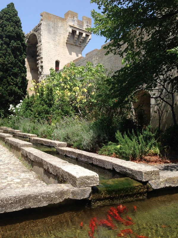 The garden inside Chateau de Tarascon