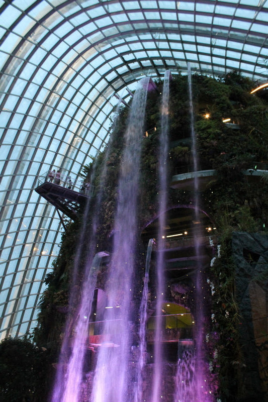 Waterfall in Cloud Forest