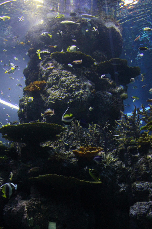 Aquarium within SEA