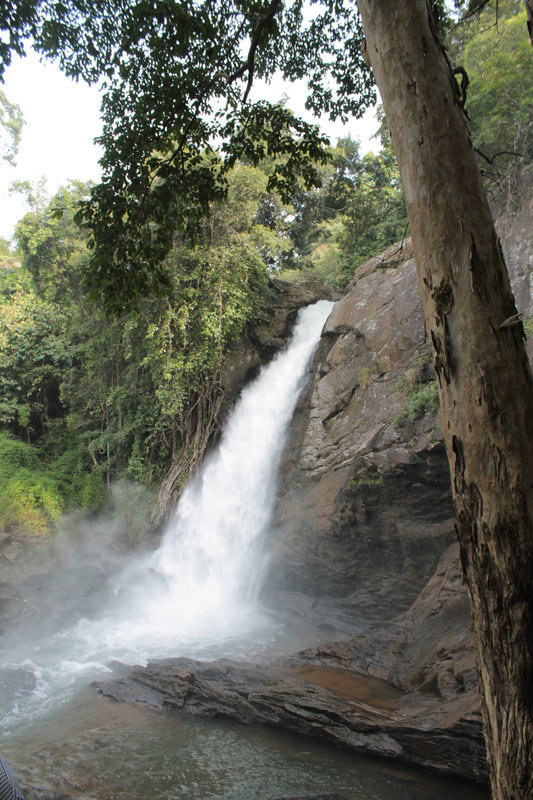 Soochipara falls
